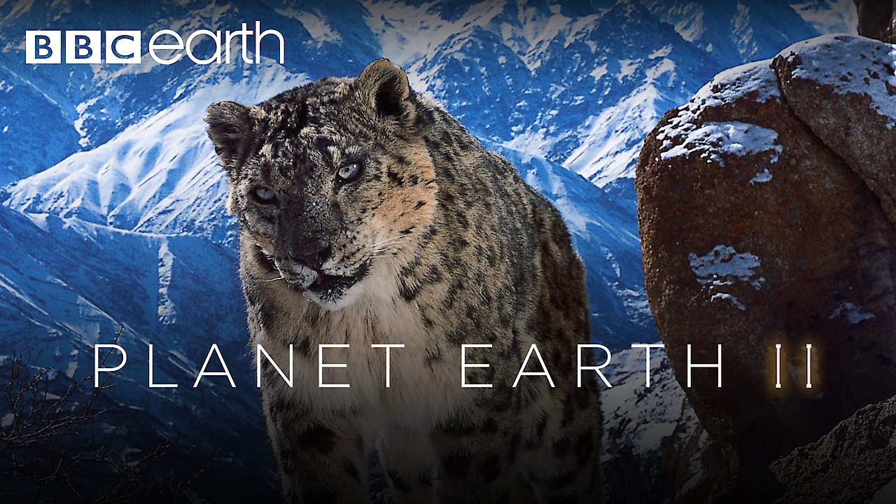 planet earth netflix 2020