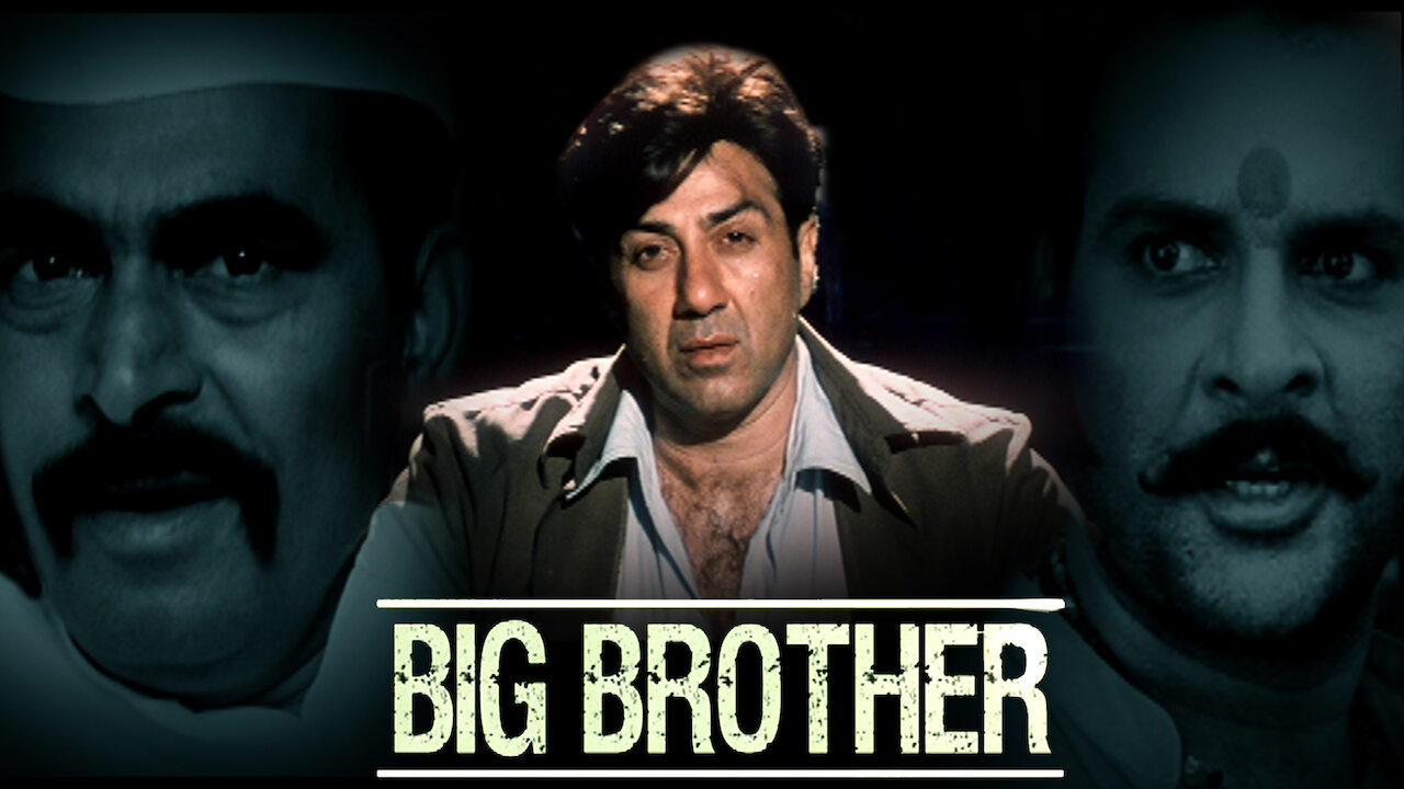 can you watch big brother on netflix