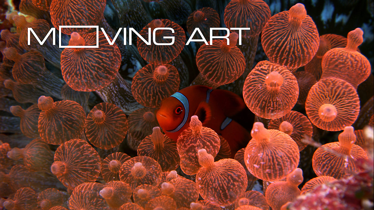 Is 'Moving Art' available to watch on Canadian Netflix? New On